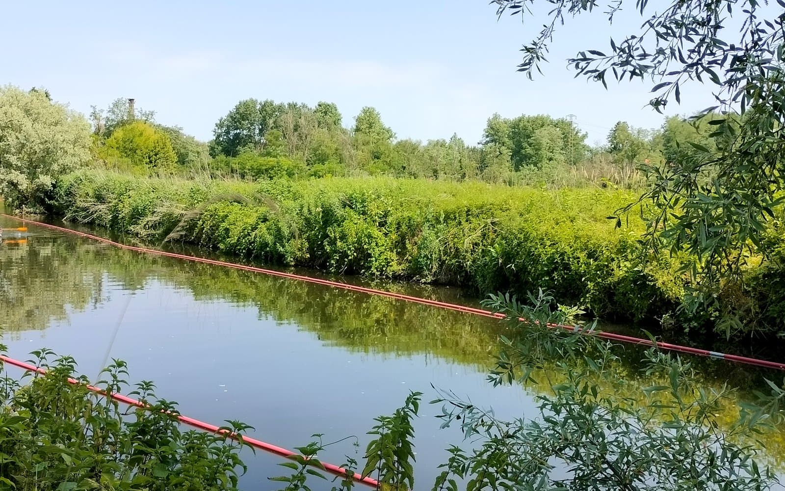 Fiume Olona e vegetazione nel Parco del Medio Olona