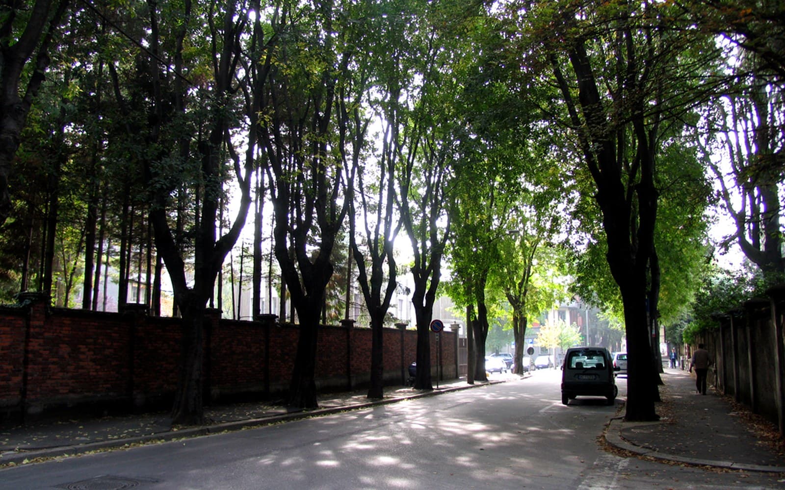 Viale alberato in un quartiere residenziale di Saronno